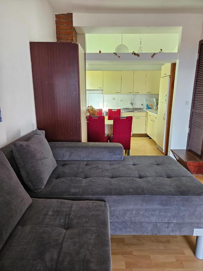 Apartments With Swimming Pool 9X4M 셀스 외부 사진